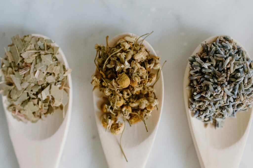 Flat lay of dried herbal remedies in wooden spoons for natural healing.