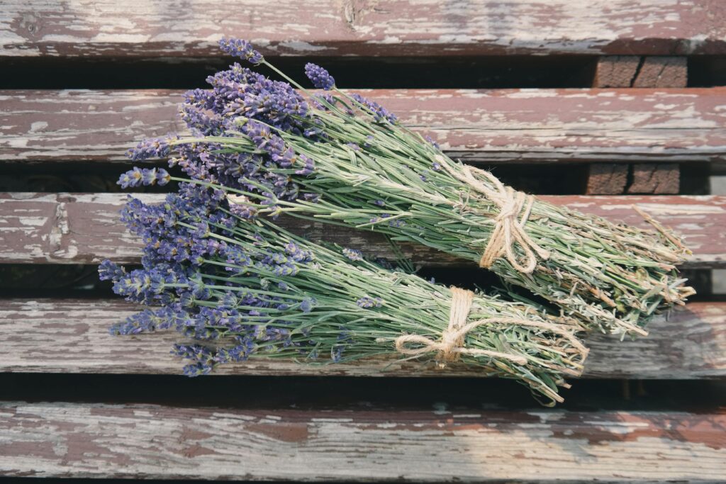 Beautiful lavender bunches tied with twine rest on a rustic wooden bench, showcasing nature's charm.